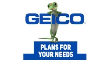 Geico Insurance Plans for Your Needs